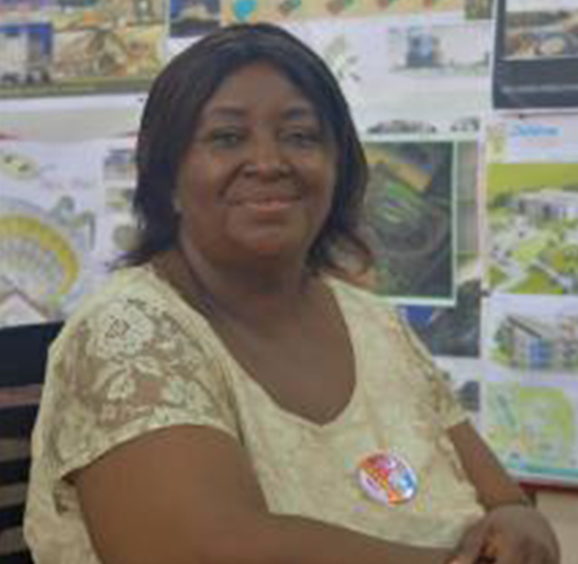 Prof. A.P. Opoko